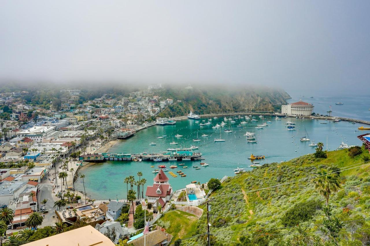 Dreamy Catalina Island Home, Walk To Beach And Ferry Avalon Exteriör bild